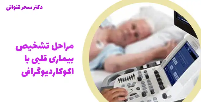 مراحل تشخیص بیماری قلبی با اکوکاردیوگرافی