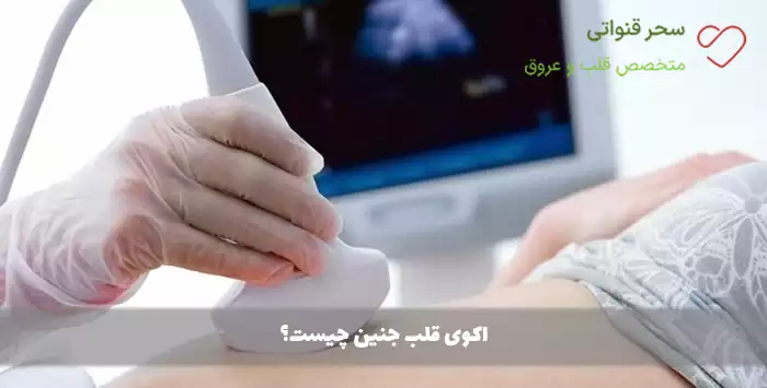 اکوی قلب جنین چیست؟