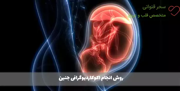 روش انجام اکوکاردیوگرافی جنین
